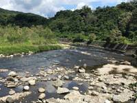 秩父フライフィールド 釣果