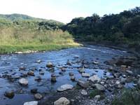 秩父フライフィールド 釣果