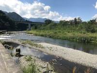 秩父フライフィールド 釣果