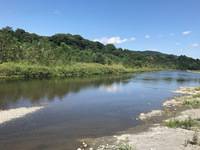 秩父フライフィールド 釣果