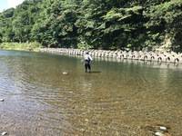 秩父フライフィールド 釣果