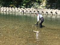 秩父フライフィールド 釣果