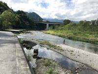 秩父フライフィールド 釣果