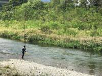 秩父フライフィールド 釣果