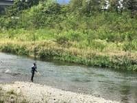 秩父フライフィールド 釣果