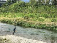 秩父フライフィールド 釣果
