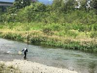 秩父フライフィールド 釣果