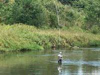 秩父フライフィールド 釣果