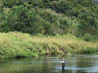 秩父フライフィールド 釣果