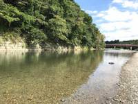 秩父フライフィールド 釣果