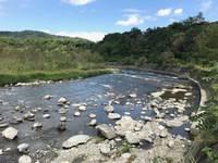 秩父フライフィールド 釣果