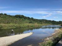 秩父フライフィールド 釣果