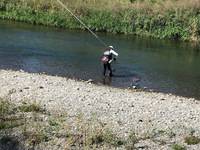 秩父フライフィールド 釣果