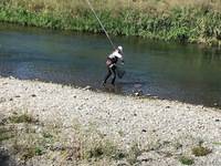 秩父フライフィールド 釣果