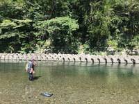 秩父フライフィールド 釣果