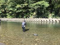 秩父フライフィールド 釣果