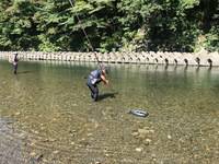 秩父フライフィールド 釣果