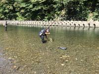 秩父フライフィールド 釣果