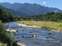 秩父フライフィールド 釣果