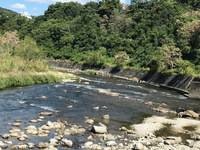 秩父フライフィールド 釣果