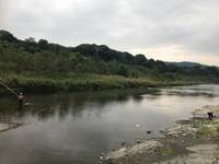 秩父フライフィールド 釣果