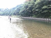 秩父フライフィールド 釣果