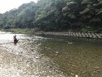 秩父フライフィールド 釣果