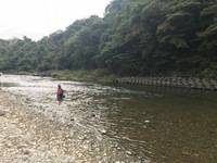 秩父フライフィールド 釣果