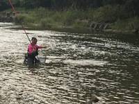 秩父フライフィールド 釣果