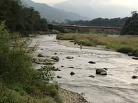 秩父フライフィールド 釣果