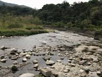 秩父フライフィールド 釣果