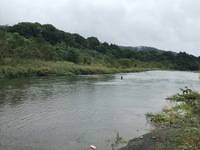 秩父フライフィールド 釣果