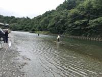 秩父フライフィールド 釣果