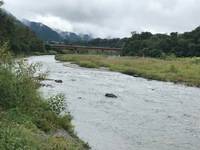 秩父フライフィールド 釣果