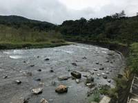 秩父フライフィールド 釣果