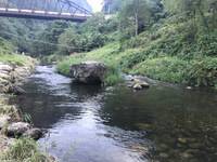 秩父フライフィールド 釣果