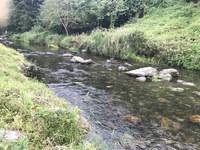 秩父フライフィールド 釣果