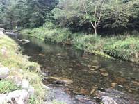 秩父フライフィールド 釣果