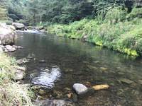 秩父フライフィールド 釣果