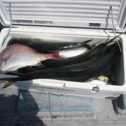 第二明康丸 釣果