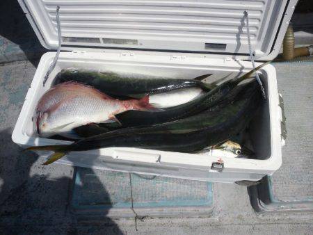 第二明康丸 釣果