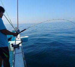 はじめ丸 釣果