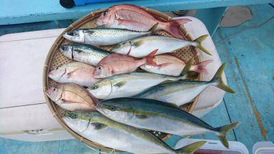 はじめ丸 釣果