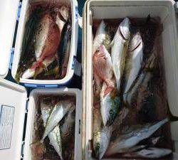 はじめ丸 釣果