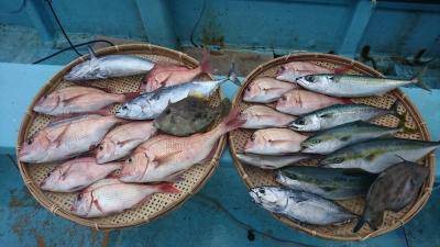 はじめ丸 釣果