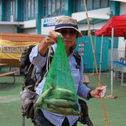 としまえんフィッシングエリア 釣果