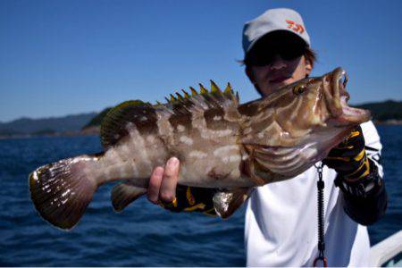渡船屋たにぐち 釣果