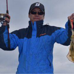 渡船屋たにぐち 釣果