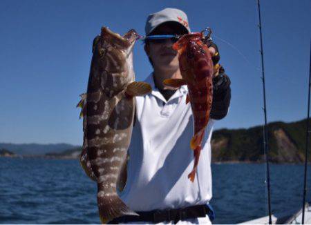 渡船屋たにぐち 釣果