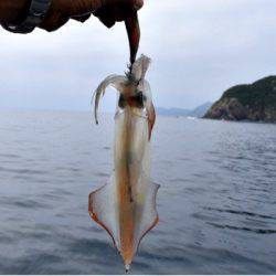 渡船屋たにぐち 釣果